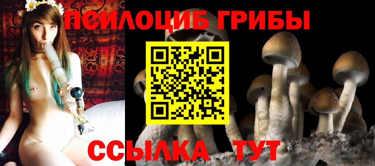 Мурино  Галлюциногенные грибы GOLDEN TEACHER  Вход с VPN  Псилоцибиновые грибы ЛСД 